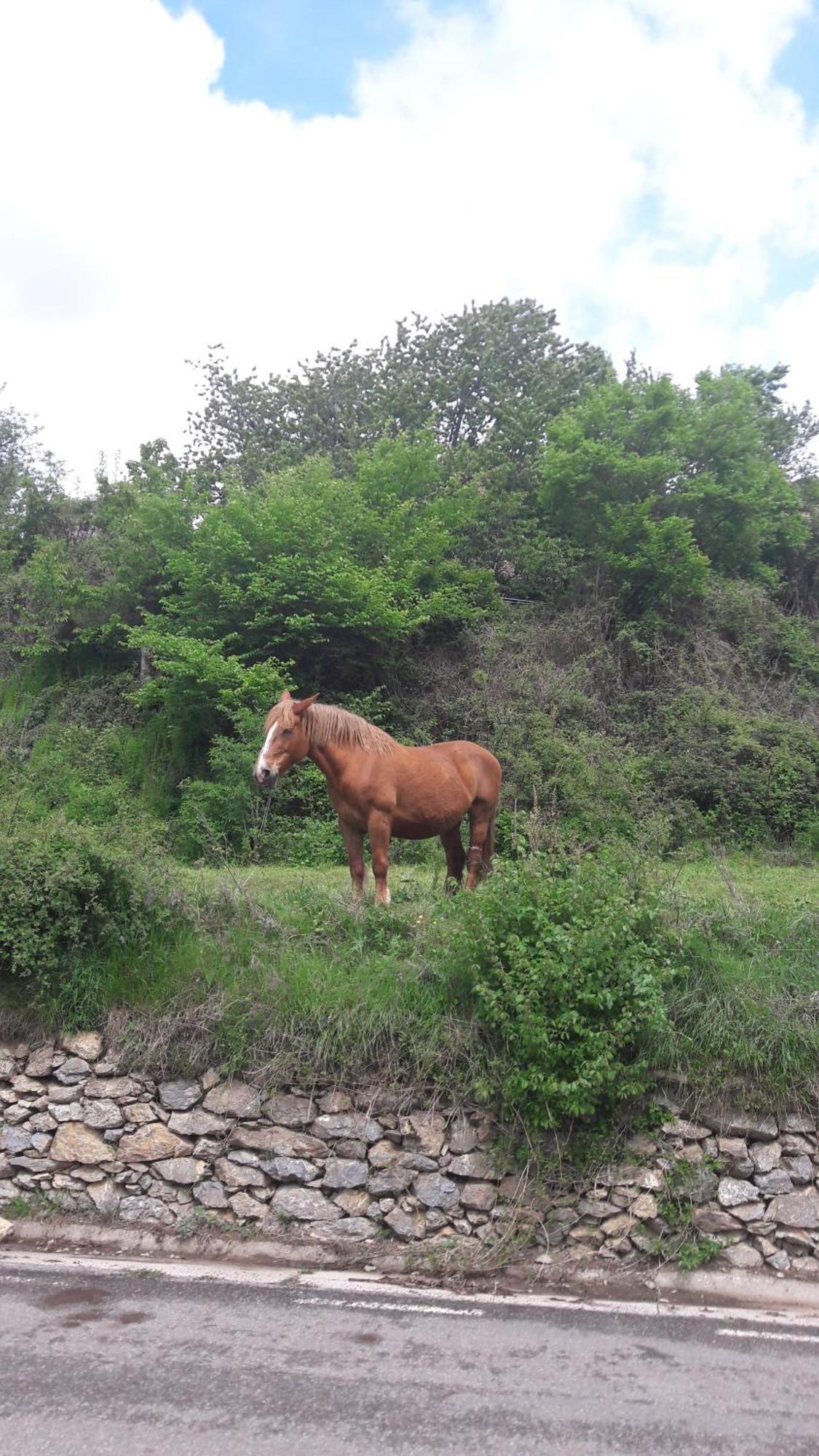 Casa Rural Baró Tornafort Zewnętrze zdjęcie