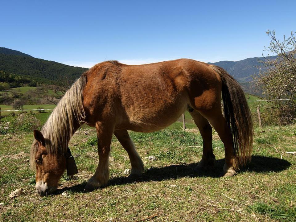 Casa Rural Baró Tornafort Zewnętrze zdjęcie