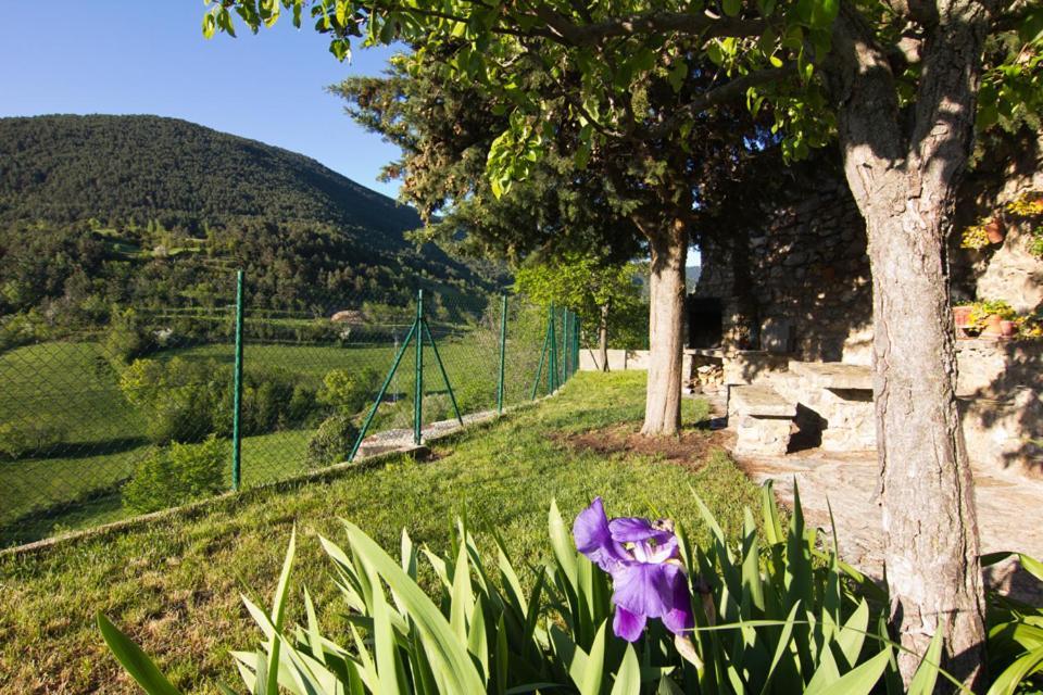 Casa Rural Baró Tornafort Zewnętrze zdjęcie